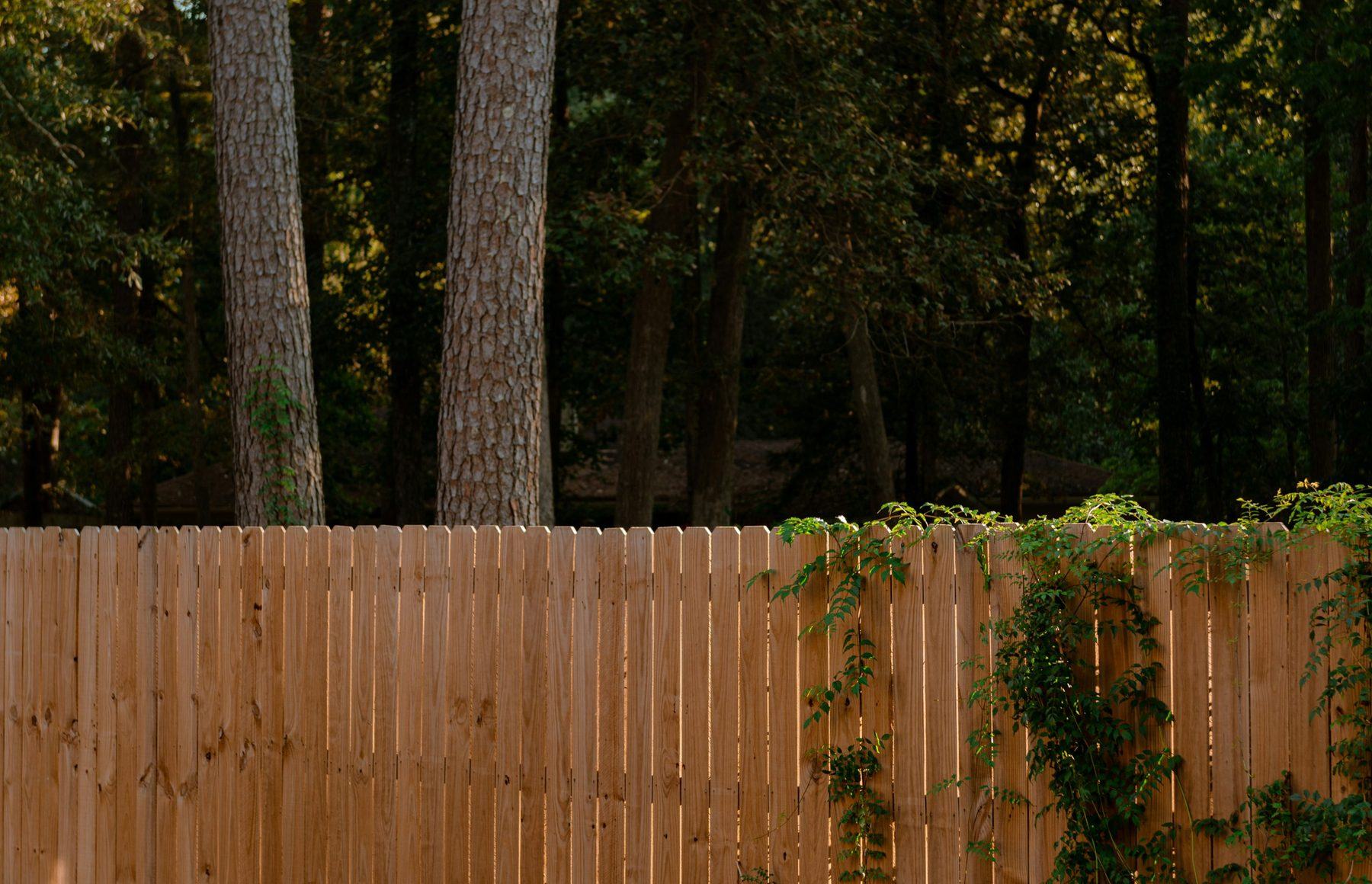 A freshly sealed wood privacy fence